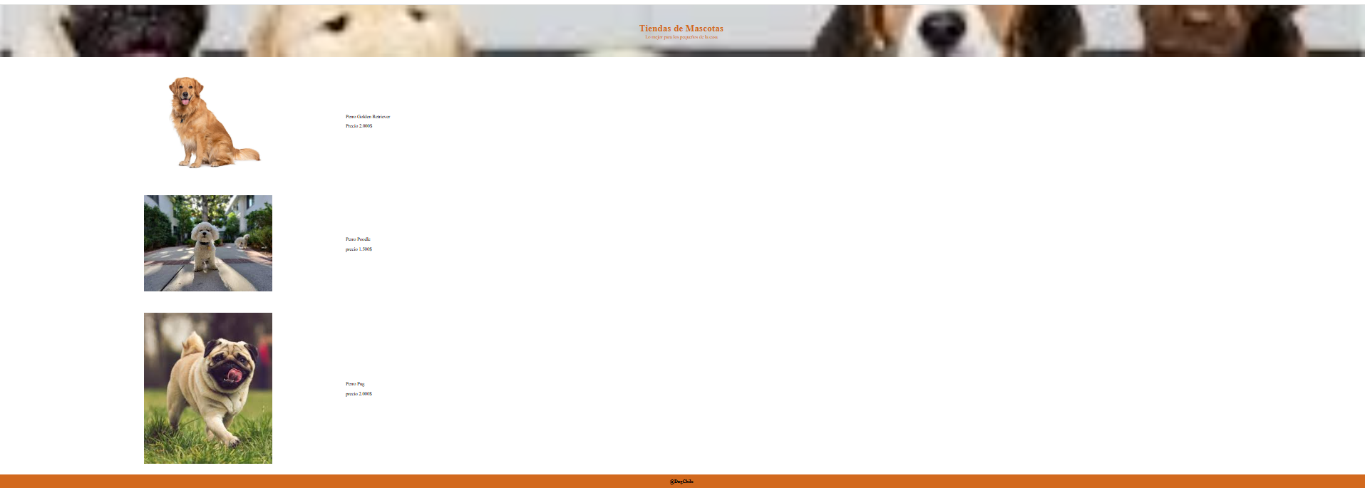 capture proyecto de perros
